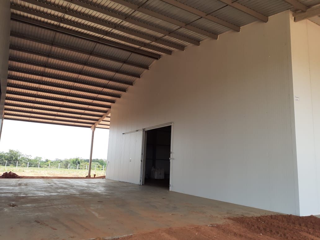 camara de sementes (1)