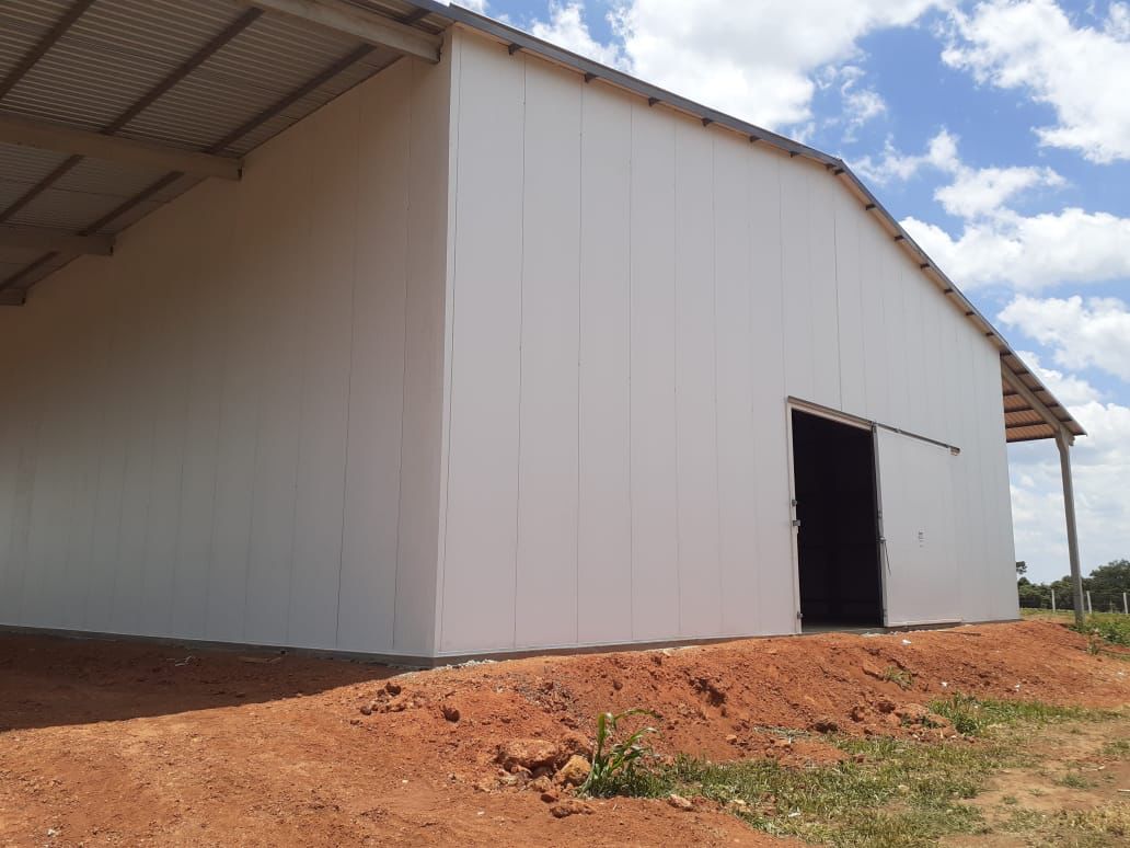 camara de sementes (2)