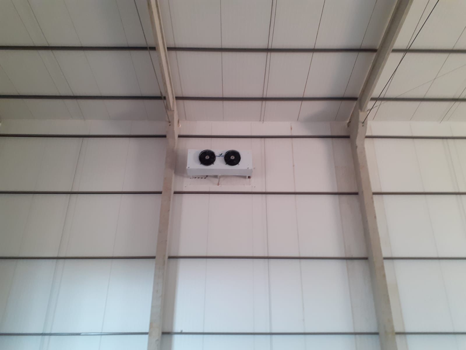 camara de sementes (5)